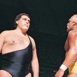 five-unforgettable-hulk-hogan-matches-that-defined-wrestling-history