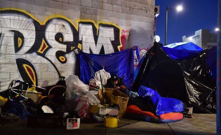 trump-moves-to-get-homeless-off-the-streets,-into-‘appropriate-facilities’