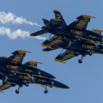 woman-sues-blue-angels-on-behalf-of-her-cat-–-cites-torture,-first-amendment-violation
