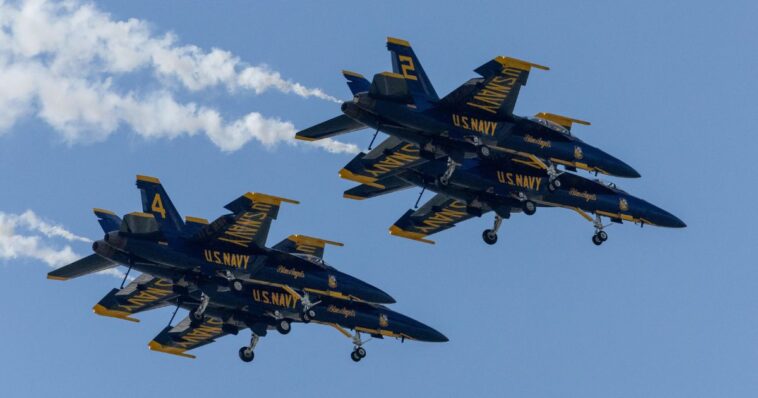 woman-sues-blue-angels-on-behalf-of-her-cat-–-cites-torture,-first-amendment-violation