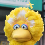 msnbc-worries-the-demise-of-big-bird-could-send-america’s-children-flocking-to-prageru-kids