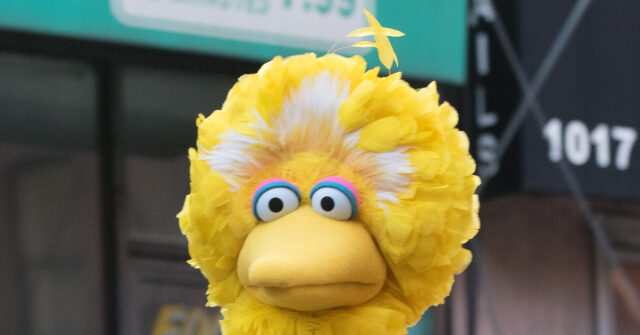 msnbc-worries-the-demise-of-big-bird-could-send-america’s-children-flocking-to-prageru-kids