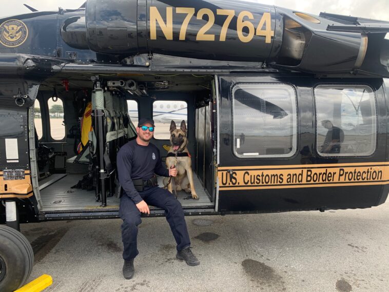 border-patrol-dog-retires-after-stopping-more-than-400-pounds-of-illegal-drugs-from-entering-us