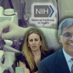 nih-betrays-promise-to-end-fauci-era-animal-cruelty-by-renewing-horrific-kitten-heart-failure-experiments,-slaughtering-dozens-more-innocent-kittens-with-your-tax-dollars
