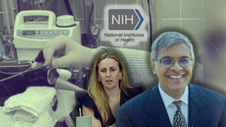 nih-betrays-promise-to-end-fauci-era-animal-cruelty-by-renewing-horrific-kitten-heart-failure-experiments,-slaughtering-dozens-more-innocent-kittens-with-your-tax-dollars