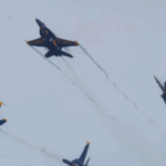 lawsuit:-seattle-‘cat-mom’-claims-blue-angels-terrorized-her-dying-pet