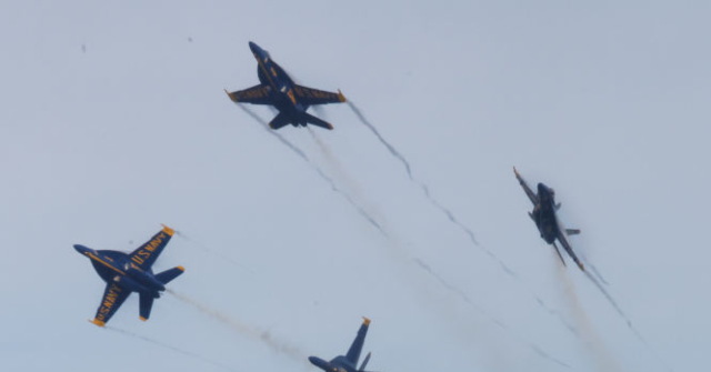 lawsuit:-seattle-‘cat-mom’-claims-blue-angels-terrorized-her-dying-pet