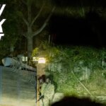 nyc-socialist-would-be-mayor-zohran-mamdani-throws-lavish-wedding-bash-in-uganda