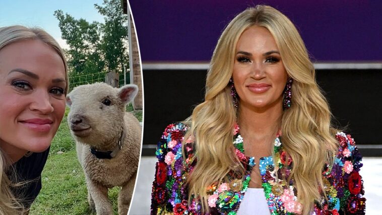 carrie-underwood-fully-embraces-traditional-country-living-on-her-tennessee-farm