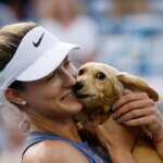 tennis-star-anna-kalinskaya’s-dog-rushes-court-after-pro-wins-match