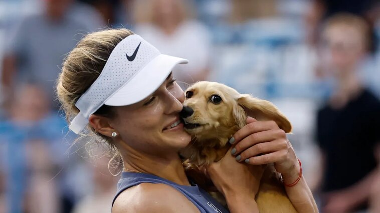 tennis-star-anna-kalinskaya’s-dog-rushes-court-after-pro-wins-match