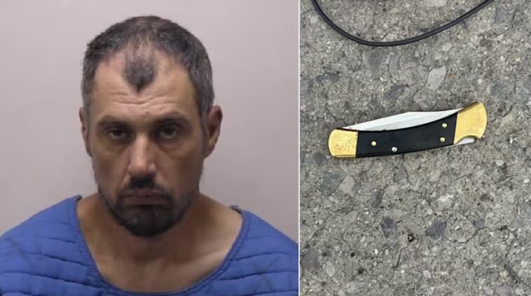 mugshot-released-of-walmart-mass-stabbing-suspect-—-42-year-old-charged-with-terrorism-after-brutal-attack-in-michigan