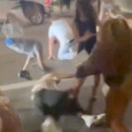 brutal-downtown-brawl-leaves-victims-bloodied-as-cincinnati-police-launch-investigation