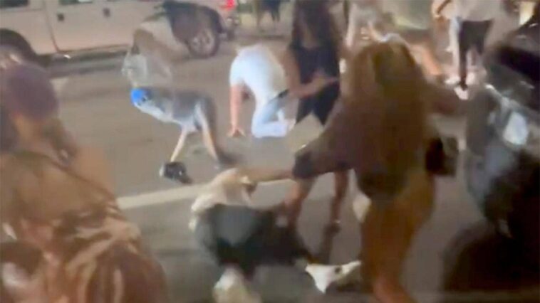 brutal-downtown-brawl-leaves-victims-bloodied-as-cincinnati-police-launch-investigation