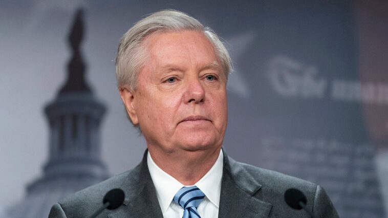 lindsey-graham-spars-with-nbc-anchor-over-tulsi-gabbard’s-new-russiagate-allegations