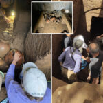 italian-archaeologists-unveil-rare-2,600-year-old-tomb-untouched-by-looters