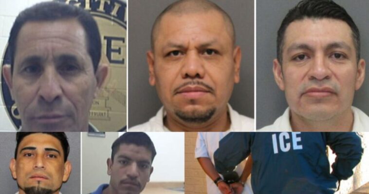 ice-arrests-over-200-illegal-aliens-convicted-for-sex-offenses-involving-minors-in-houston-area