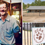 animal-shelter-worker-mauled-to-death-by-pit-bulls-rescued-from-dog-fighting-ring