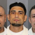 ice-has-arrested-over-200-illegal-alien-child-sex-offenders-in-houston-over-last-six-months