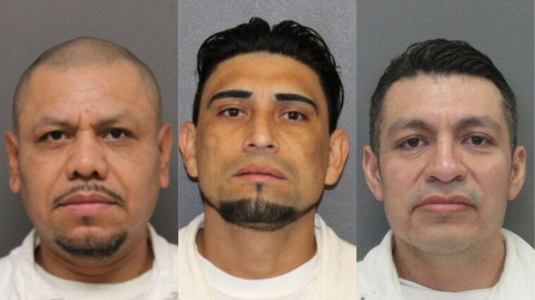 ice-has-arrested-over-200-illegal-alien-child-sex-offenders-in-houston-over-last-six-months