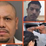 200-illegal-alien-child-sex-offenders-arrested-in-houston-in-six-months