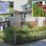 long-islander-taken-to-court-over-6-foot-tall-natural-garden:-‘i-can’t-plant-some-good-flowers?’