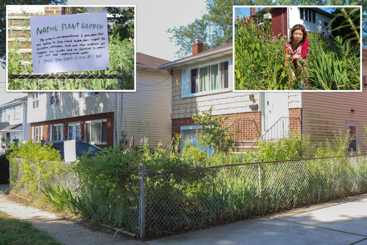 long-islander-taken-to-court-over-6-foot-tall-natural-garden:-‘i-can’t-plant-some-good-flowers?’