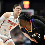 wnba:-days-after-demanding-“pay-us-what-you-owe-us”,-game-halted-and-fan-ejected-because-a-player-lost-her-wig-on-the-court