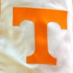 university-of-tennessee-department-head-boasts-of-dei-flying-under-the-radar-in-red-state