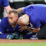 blue-jays’-george-springer-hit-in-head-with-96-mph-fastball,-leaves-game-with-help-of-trainers