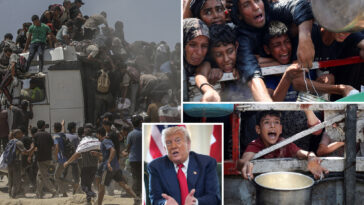 un-backed-experts-warn-of-‘worst-case-scenario famine’-in-gaza-as-trump-vows-to-get-the-issue-‘straightened-out’