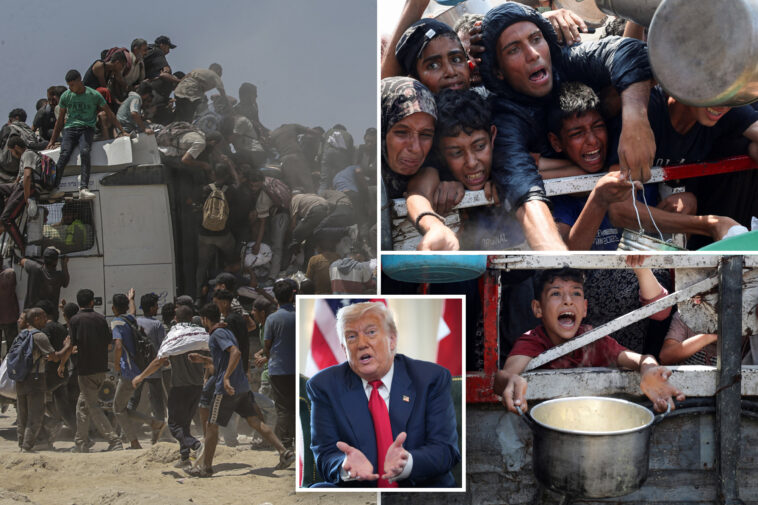 un-backed-experts-warn-of-‘worst-case-scenario famine’-in-gaza-as-trump-vows-to-get-the-issue-‘straightened-out’