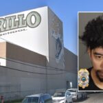 ‘walk-on’-baseball-coach-and-substitute-groundskeeper-at-california-high-school-charged-with-sex-crimes