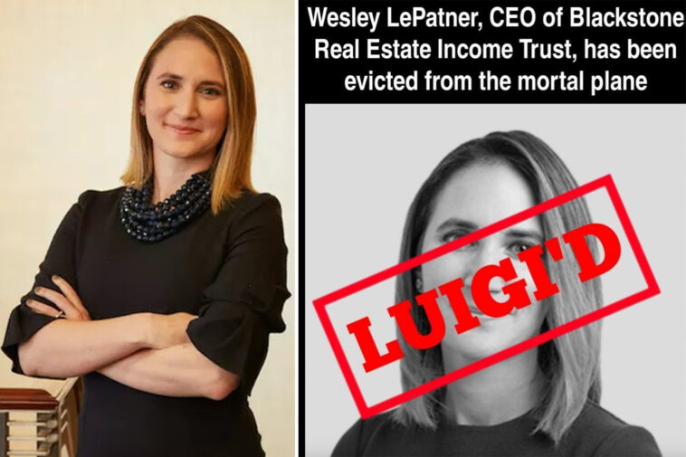 trolls-make-sick-luigi-mangione-inspired-memes-about-blackstone-executive-wesley-lepatner-who-was-killed-in-nyc-shooting