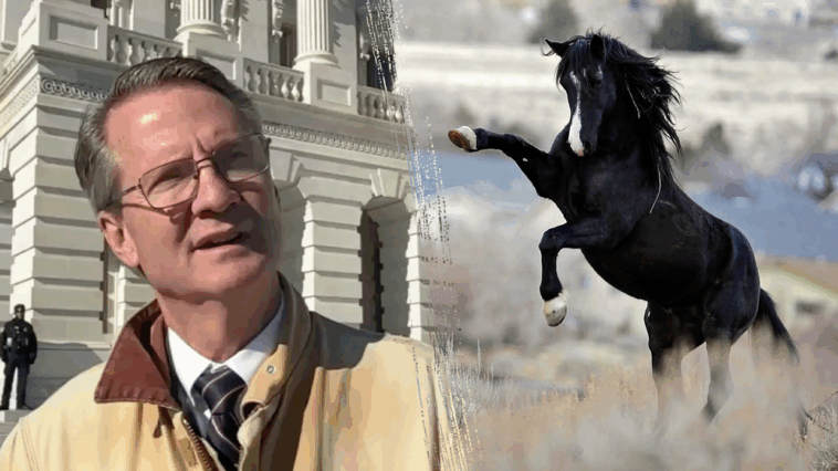 republican-congressman-kicked-by-horse,-breaks-rib-during-farm-accident