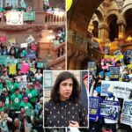 ny-pols-push-irs-to-probe-nonprofit-‘sanctuary’-groups-helping-defy-trump,-federal-immigration-laws