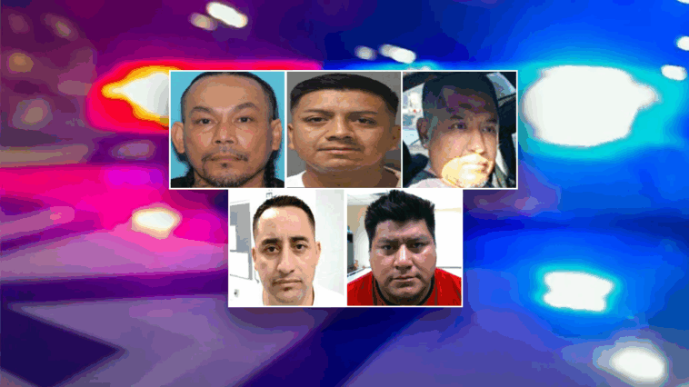 illegal-who-conspired-to-bludgeon-teen-to-death-with-baseball-bat-among-latest-ice-roundups