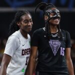 wnba-game-interrupted-as-bizarre-object-flies-onto-court