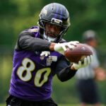 sources:-ravens-te-likely-has-small-foot-fracture