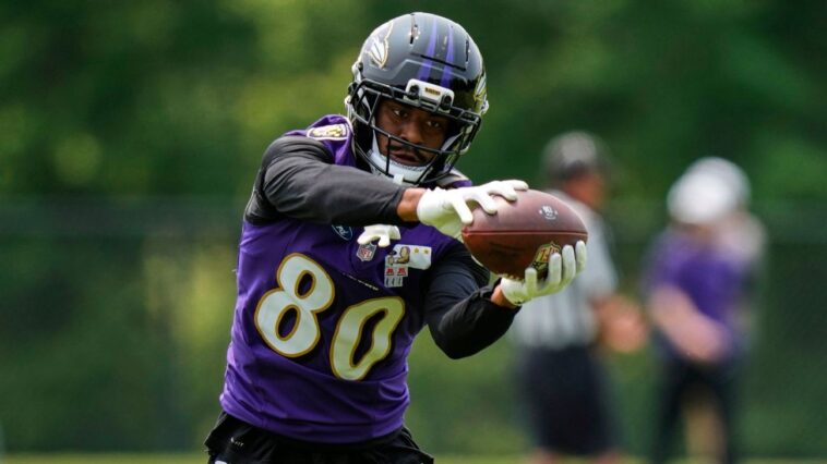 sources:-ravens-te-likely-has-small-foot-fracture