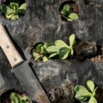 uk-police-arrest-gardener-in-his-own-garden-for-carrying-trowel,-sickle