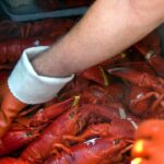 peta-calls-maine-lobster-festival-‘egregiously-cruel’-in-new-lawsuit-against-city