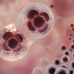 baby-born-from-30-year-old-frozen-embryo-shocks-world