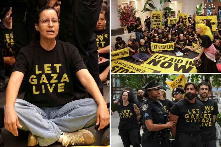dozens-of-protesters-swarm-chuck-schumer,-kirsten-gillibrand’s-nyc-offices-to-‘let-gaza-live’