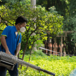 china-insists-chikungunya-virus-outbreak-‘under-control,’-us.-travel-warning-‘unnecessary’