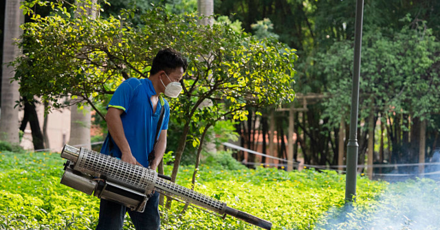 china-insists-chikungunya-virus-outbreak-‘under-control,’-us.-travel-warning-‘unnecessary’