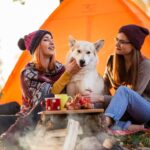 13-must-haves-to-bring-when-camping-with-your-dog,-from-travel-crates-to-outdoor-beds