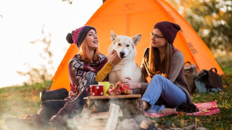 13-must-haves-to-bring-when-camping-with-your-dog,-from-travel-crates-to-outdoor-beds