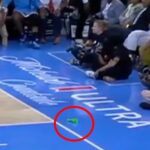 lime-green-dildo-thrown-onto-court-for-the-second-time-in-a-week-at-wnba-game-(video)