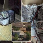fbi-arrests-man-in-california-for-allegedly-attempting-to-provide-financial-support-to-isis;-explosives-seized
